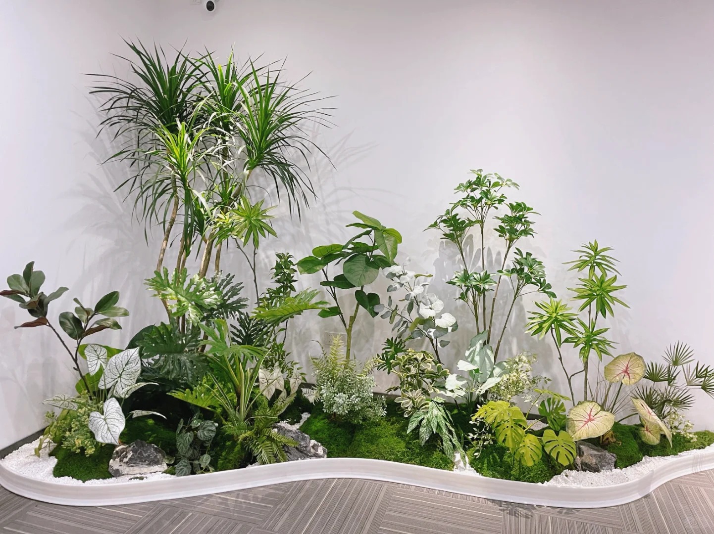 专业盆景租赁，慈溪这里的选择超棒！